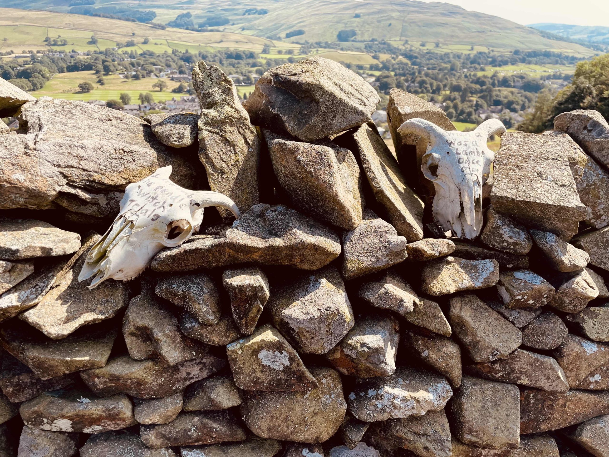Two sheep skulls sit on top of a drystone wall
